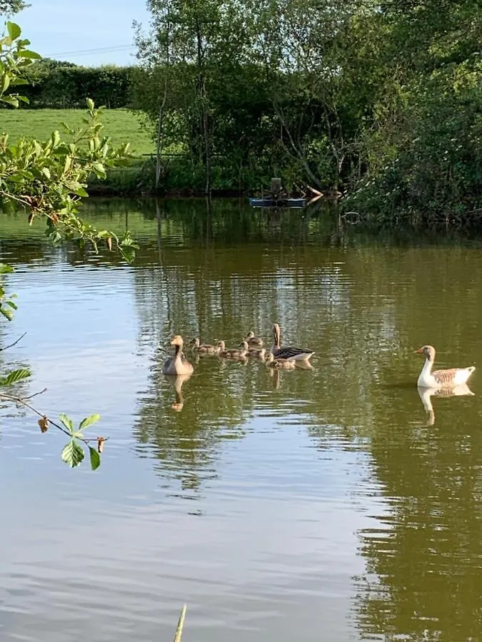 Lakeside Lodge Eastleigh United Kingdom
